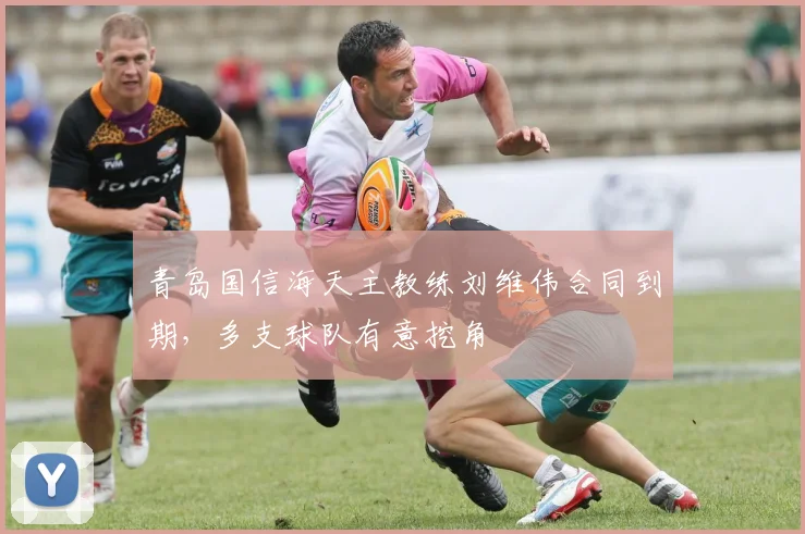 青岛国信海天主教练刘维伟合同到期，多支球队有意挖角